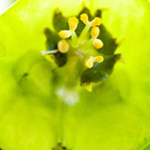 免费ddos在线攻击